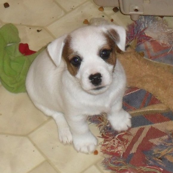 Thanks for shopping my closet!!! - Picture 3 of 16